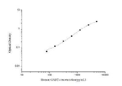 Novus Biologicals&trade;&nbsp;Human GAD2/GAD65 ELISA Kit (Colorimetric)